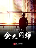 金光闪耀在线阅读