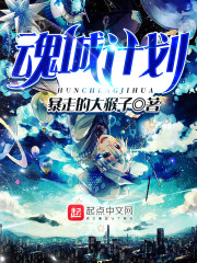 魂城计划