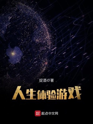人生体验游戏