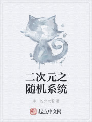 二次元之随机系统