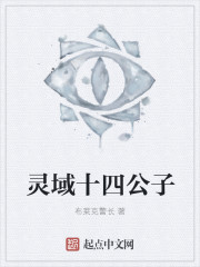 灵域十四公子