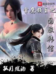 雪鹰领主之国服韩信