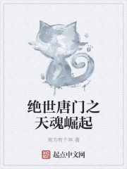 绝世唐门之天魂崛起