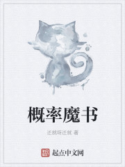 概率魔书