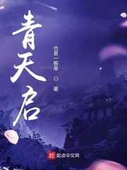 青天启