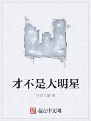 才不是大明星