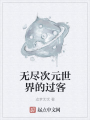 无尽次元世界的过客