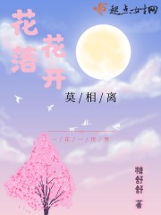 花落花开莫相离