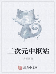 二次元中枢站
