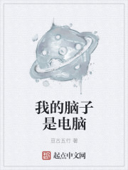 我的脑子是电脑