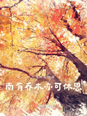 南有乔木亦可休思