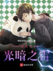 盘龙之光暗之雷