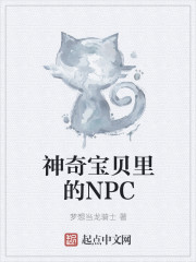 神奇宝贝里的NPC