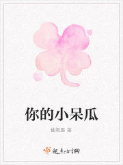 你的小呆瓜