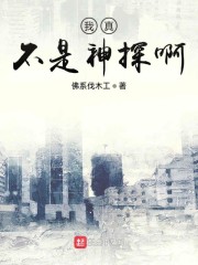 我真不是神探啊