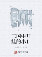 三国中开挂的小1