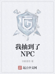 我抽到了NPC