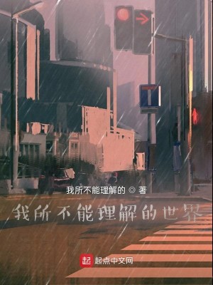 我所不能理解的世界