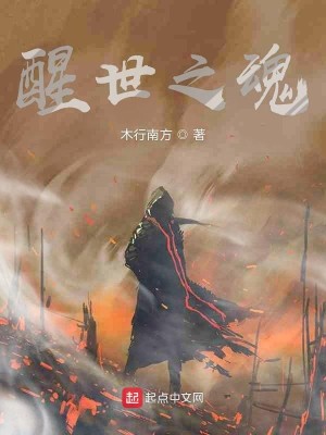 醒世之魂