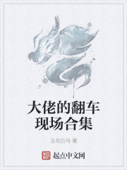大佬的翻车现场合集