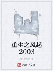 重生之风起2003