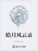 皓月风云录在线阅读