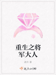 重生之将军大人