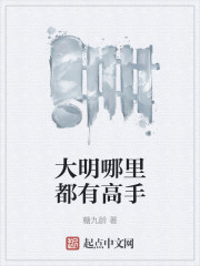 大明处处是高手