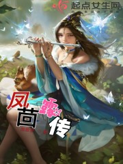 凤茴露传
