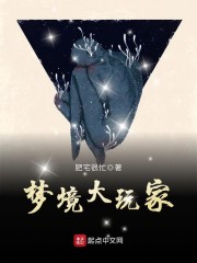 梦境大玩家