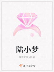 陆小梦