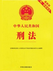 中华人民共和国刑法（2013年版）