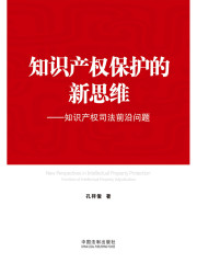 知识产权保护的新思维：知识产权司法前沿问题