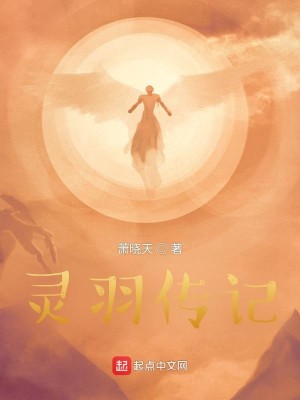 灵羽传记