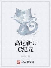 高达新UC纪元