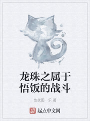 龙珠之属于悟饭的战斗