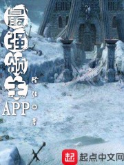最强领主APP