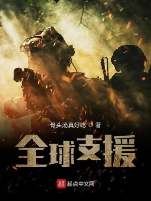 全球支援