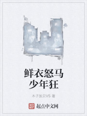鲜衣怒马少年狂