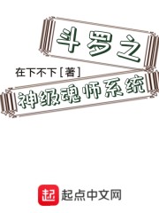 斗罗之神级魂师系统