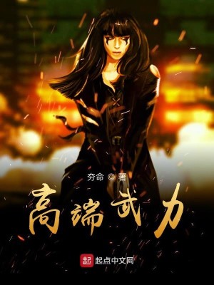 高端武力