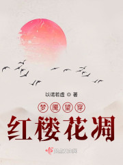 梦魇望穿红楼花凋