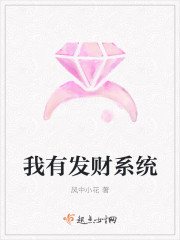 我有发财系统