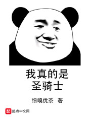 我真的是圣骑士