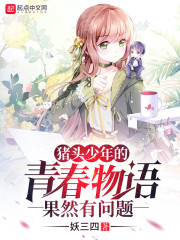 猪头少年的青春物语果然有问题