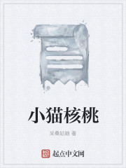 小猫核桃