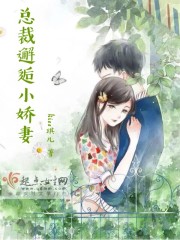 总裁邂逅小娇妻