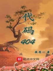 代码404