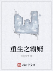 重生之霸婿