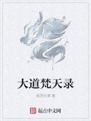 大道梵天录